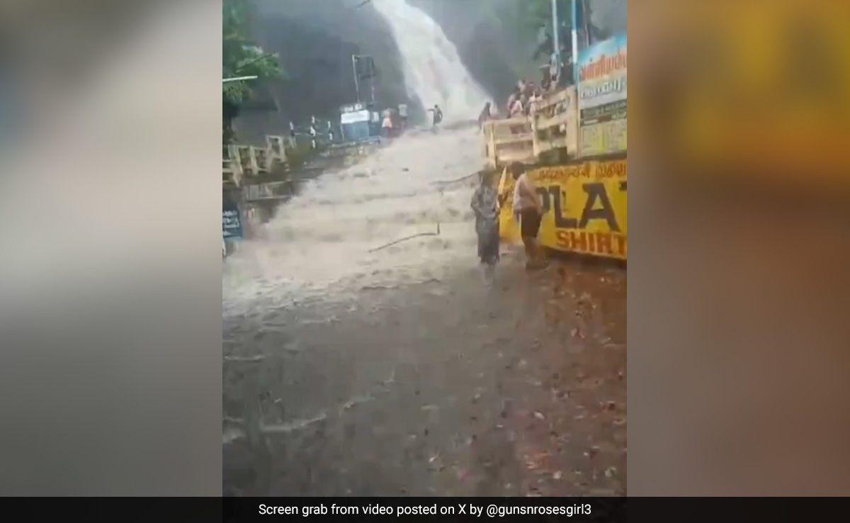Boy, 17, Dies After Flash Floods Hit Waterfall In Tamil Nadu's Tenkasi