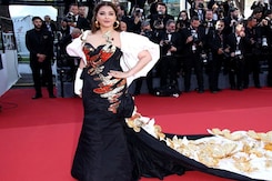Cannes 2024: Aishwarya Rai Bachchan's Red Carpet Moment. Enough Said Cannes 2024: Aishwarya Rai Bachchan's Red Carpet Moment. Enough Said
