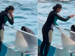 बीच समंदर में अचानक महिला के करीब आ गई खतरनाक व्हेल, उतारने लगी नकल, देखें मजेदार वीडियो