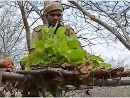 राजस्थान में सुबह 8 बजे शुरू हुई वन्यजीव गणना, मचान पर बैठकर वाटर होल पद्धति से हो रही गिनती राजस्थान में सुबह 8 बजे शुरू हुई वन्यजीव गणना, मचान पर बैठकर वाटर होल पद्धति से हो रही गिनती