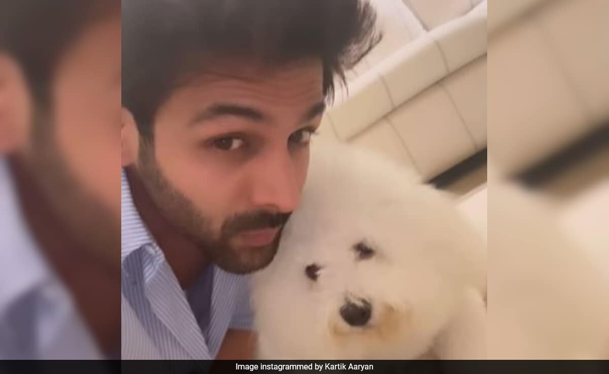 Inside Kartik Aaryan And Pet Pooch Katori's Adorable Scenes: "When I Am Leaving For My Shoot On A Sunday"