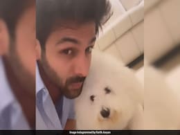 Inside Kartik Aaryan And Pet Pooch Katori's Adorable Scenes: "When I Am Leaving For My Shoot On A Sunday" Inside Kartik Aaryan And Pet Pooch Katori's Adorable Scenes: "When I Am Leaving For My Shoot On A Sunday"