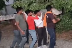 Video: Locals Carry 10-Ft Crocodile On Their Back, Release It In UP Canal Video: Locals Carry 10-Ft Crocodile On Their Back, Release It In UP Canal