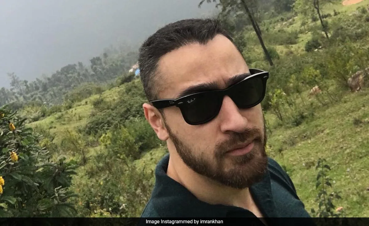 Imran Khan On Co-Parenting Daughter With Ex-Wife Avantika Malik: "We Split The Week"