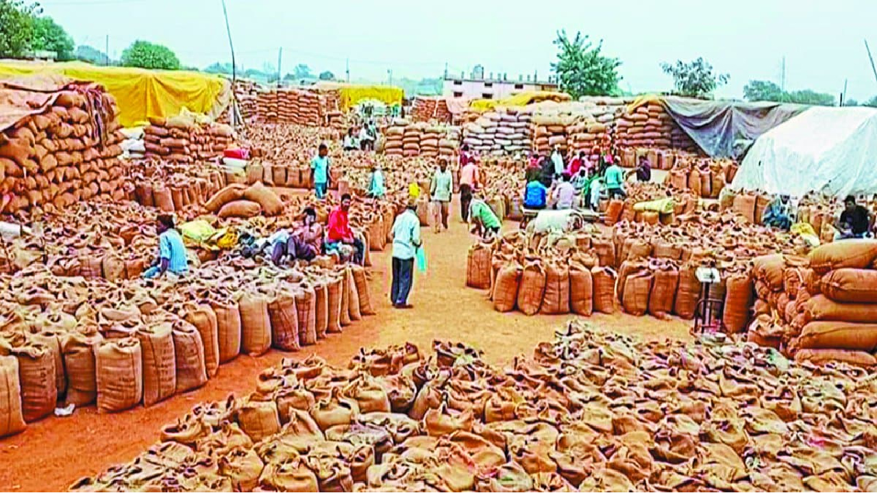 बालोद: धान खरीदी में शॉर्टेज का मामला, 5 करोड़ का धान हुआ काम