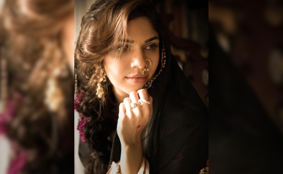 "Sometimes I Wish I Looked Like Bella Hadid": <i>Heeramandi</i> Actor Sharmin Segal