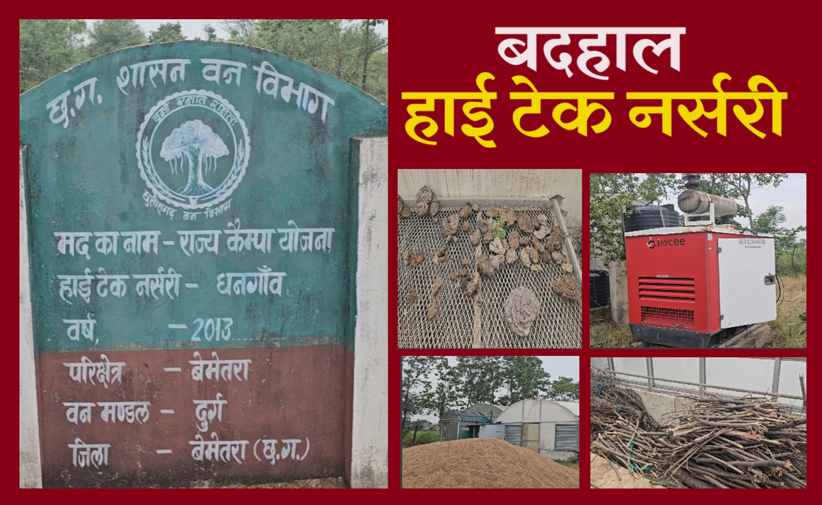 Forest Department की बड़ी लापरवाही, लाखों की हाईटेक नर्सरी-ग्रीन हाउस को कबाड़ बना डाला, देखिए NDTV पड़ताल