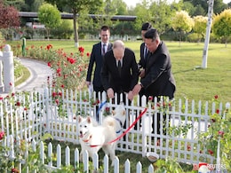 For Putin, A Pair Of Dogs As Gift From Kim Jong Un During North Korea Tour For Putin, A Pair Of Dogs As Gift From Kim Jong Un During North Korea Tour