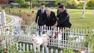रूस और उत्तर कोरिया के 'ब्रिज प्रोजेक्ट' से खौफ में क्यों यूक्रेन?