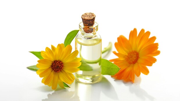 Perfumes: Turn any boring day into an interesting one