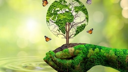 World Environment Day: इतिहास, महत्&zwj;व से लेकर थीम तक... क्&zwj;यों 5 जून को मनाया जाता है विश्&zwj;व पर्यावरण दिवस?