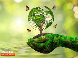 World Environment Day: इतिहास, महत्‍व से लेकर थीम तक... क्‍यों 5 जून को मनाया जाता है विश्‍व पर्यावरण दिवस?