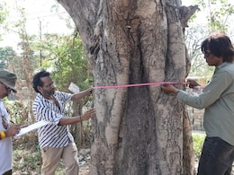 इंदौर में पर्यावरण बचाने की अनोखी पहल... 5 हजार पेड़ों पर लगाई जा रही तख्ती, लोग बोले- 'अब इन्हें काटने नहीं देंगे'