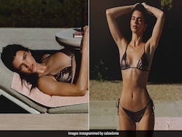 The Summer Sun Doesn't Even Come Close To The Shine Of Kendall Jenner In A Metallic Brown Swimsuit The Summer Sun Doesn't Even Come Close To The Shine Of Kendall Jenner In A Metallic Brown Swimsuit