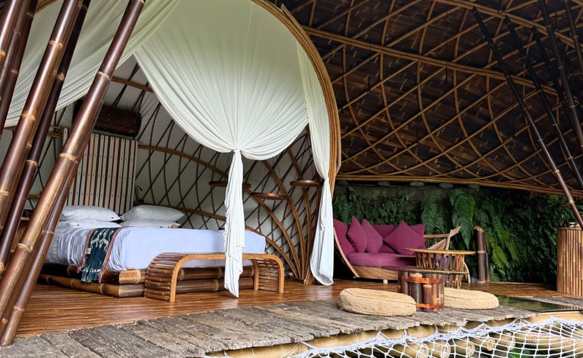 Latest and Breaking News on NDTV Latest and Breaking News on NDTV