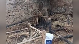 Alwar News:  ईद की तैयारी में जुटी थी मां, जिंदा जल गई 6 साल की बेटी सना