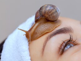 डॉक्टर ने बताया किन लोगों को चेहरे पर नहीं लगाना चाहिए स्नेल म्यूसिन, बेहतर होने के बजाय बिगड़ सकती है त्वचा 