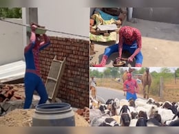 राजस्थान का ये 'स्पाइडरमैन' है कुछ अलग, मजदूरी से लेकर चूल्हे पर बनता है खाना, यूजर्स बोले- कमाल है भाई राजस्थान का ये 'स्पाइडरमैन' है कुछ अलग, मजदूरी से लेकर चूल्हे पर बनता है खाना, यूजर्स बोले- कमाल है भाई