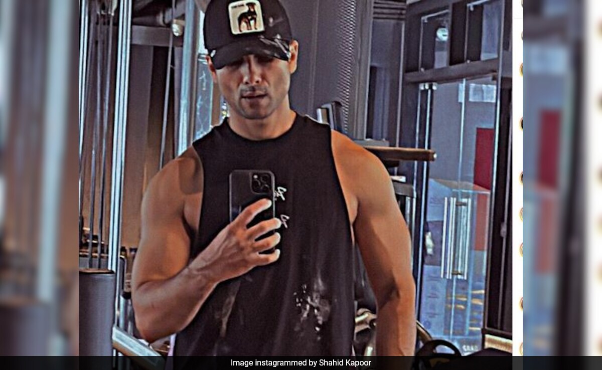 Shahid Kapoor's Sunday Treat For Fans - An Ab-Tastic Mirror Selfie