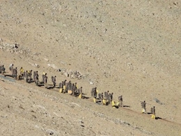 चीन के 'सुपीरियॉरिटी कॉम्प्लेक्स' पर भारत का प्रहार चीन के 'सुपीरियॉरिटी कॉम्प्लेक्स' पर भारत का प्रहार