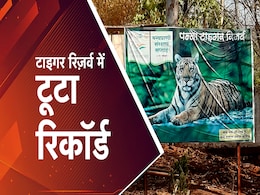 क्या बात है पन्ना !  5 करोड़ की कमाई के साथ पहली बार बना इतना बड़ा रिकॉर्ड, जानें वजहें  क्या बात है पन्ना !  5 करोड़ की कमाई के साथ पहली बार बना इतना बड़ा रिकॉर्ड, जानें वजहें