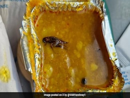 वंदे भारत के खाने में निकला मरा हुआ कॉकरोच, यात्री ने पोस्ट शेयर कर की शिकायत, तो IRCTC ने जवाब में कही ये बात वंदे भारत के खाने में निकला मरा हुआ कॉकरोच, यात्री ने पोस्ट शेयर कर की शिकायत, तो IRCTC ने जवाब में कही ये बात