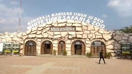 MP News: अब रीवा में होगी चार सफारी, डिप्टी सीएम शुक्ला ने की बैठक, नई प्लानिंग जल्द..