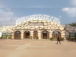 MP News: अब रीवा में होगी चार सफारी, डिप्टी सीएम शुक्ला ने की बैठक, नई प्लानिंग जल्द.. MP News: अब रीवा में होगी चार सफारी, डिप्टी सीएम शुक्ला ने की बैठक, नई प्लानिंग जल्द..