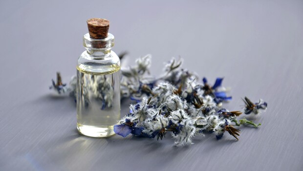 Perfumes: Turn any boring day into an interesting one