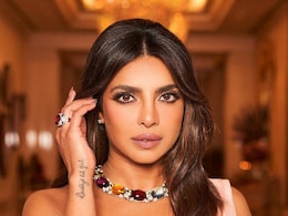 प्रियंका चोपड़ा के घर में घुसी छिपकली, एक्ट्रेस ने वीडियो बनाकर दिखाया कहां छिपकर कर रही थी आराम