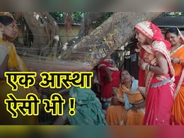 सुहागिनों ने पति के लंबी उम्र के लिए रखा व्रत, वट-वृक्ष की पूजा कर लिया आशीर्वाद सुहागिनों ने पति के लंबी उम्र के लिए रखा व्रत, वट-वृक्ष की पूजा कर लिया आशीर्वाद