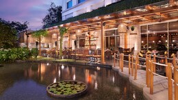 A Global Culinary Trail Across Chennai