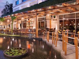 A Global Culinary Trail Across Chennai