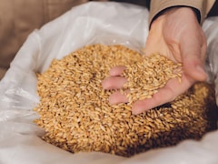 EXPLAINER: आखिर भारत में कब और कैसे घटेंगी खाद्य पदार्थों की कीमतें...?