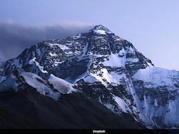 Nearly 1,700 Ancient Viruses Unknown To Science Found In Melting Himalayan Ice