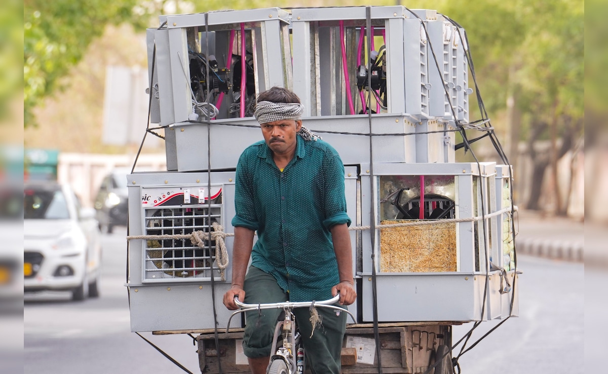 The Art of Baking: From Classic Bread to Artisan Pastries