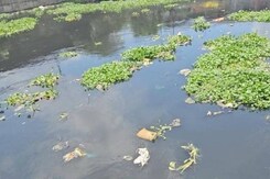 Indore: करोड़ों खर्च करने के बाद भी क्यों नहीं हो रही नदियों की सफाई Indore: करोड़ों खर्च करने के बाद भी क्यों नहीं हो रही नदियों की सफाई