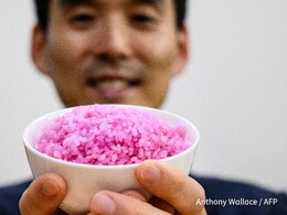 What Is 'Meaty Rice'? South Korea Develops Hybrid Rice For Sustainable Protein Kick