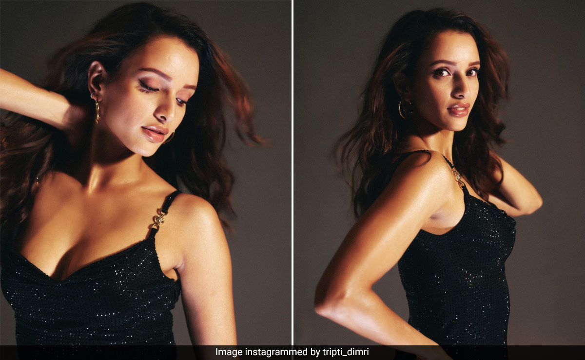 Triptii Dimri Dished Out The Perfect Nude Glam Makeup With Windswept Wavy Tresses