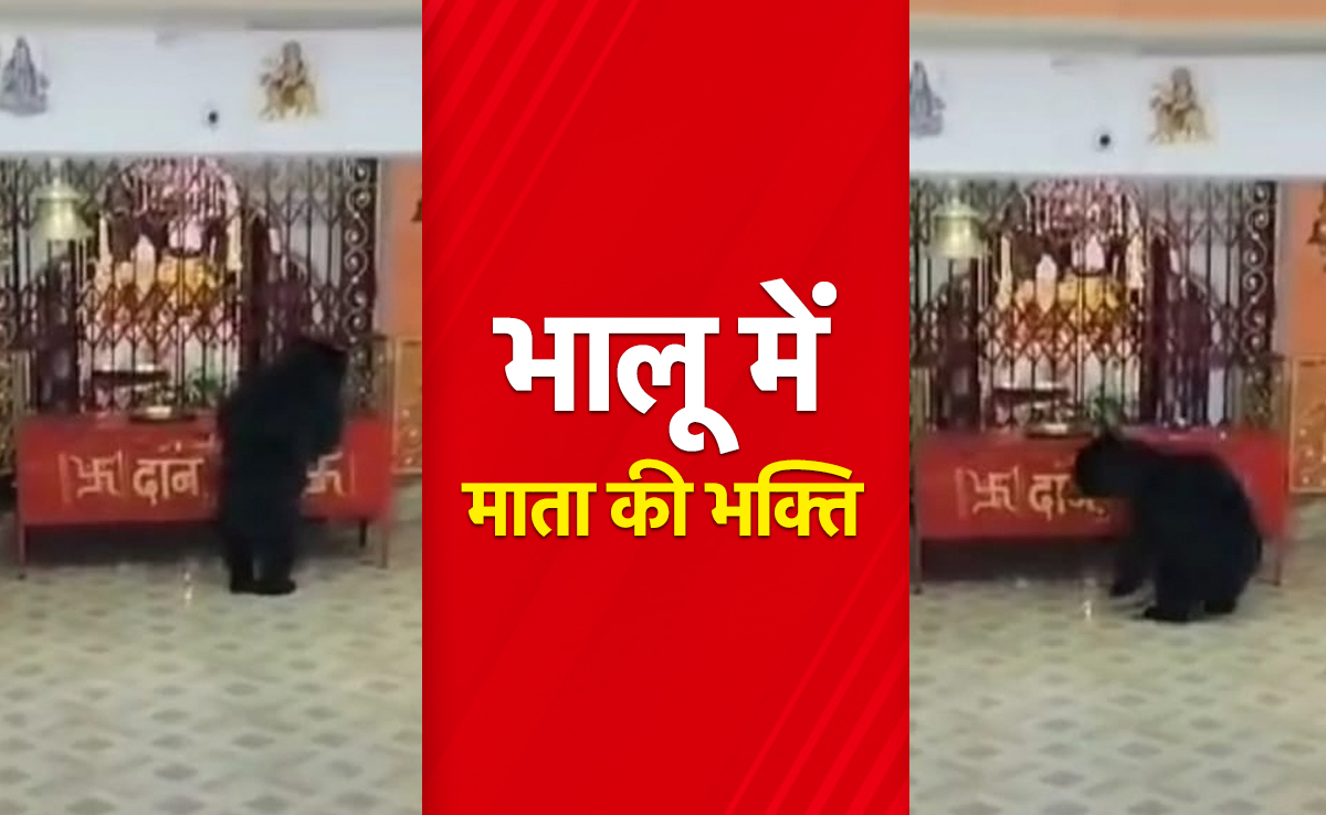 छत्तीसगढ़ का अनोखा मंदिर, जहां माता के दर्शन के लिए रोज आता है भालू का परिवार