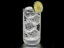 World Gin Day 2024: Unlock The Secrets of Gin - History, Types, And Tips For Perfect Gin Cocktails