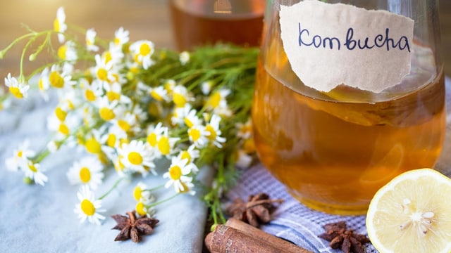 Is Kombucha Beneficial For Your Gut Health?