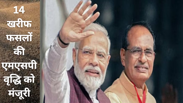 14 खरीफ फसलों के एमएसपी में वृद्धि को मिली मंजूरी,कृषि मंत्री शिवराज सिंह ने केंद्र के फैसले को बताया ऐतिहासिक