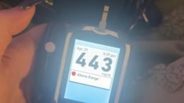 Diabetic Employee Claims She Was Fired Over Medical Emergency, Internet Asks Her To Sue Boss