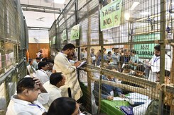 Early Trends Upend Exit Poll Predictions For Lok Sabha Results Early Trends Upend Exit Poll Predictions For Lok Sabha Results