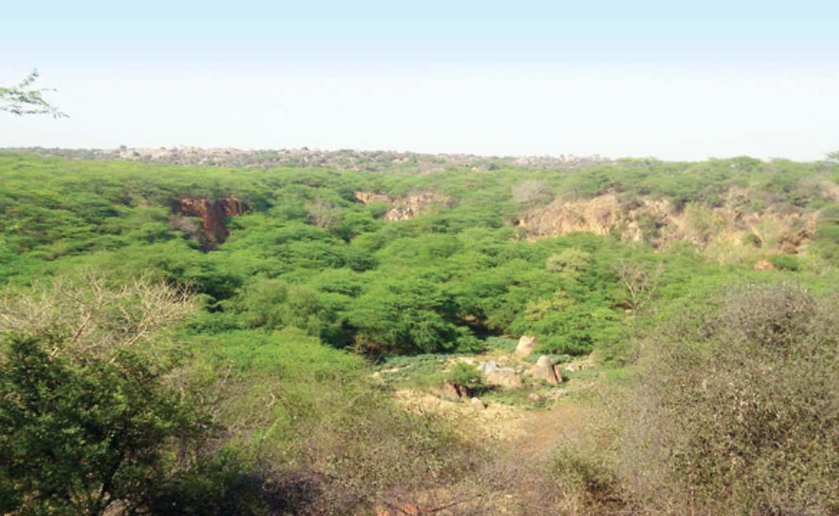 Pollution, Flood, Water Crisis: Environmentalist On Top Court's Aravalli Order