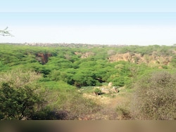 Pollution, Flood, Water Crisis: Environmentalist On Top Court's Aravalli Order