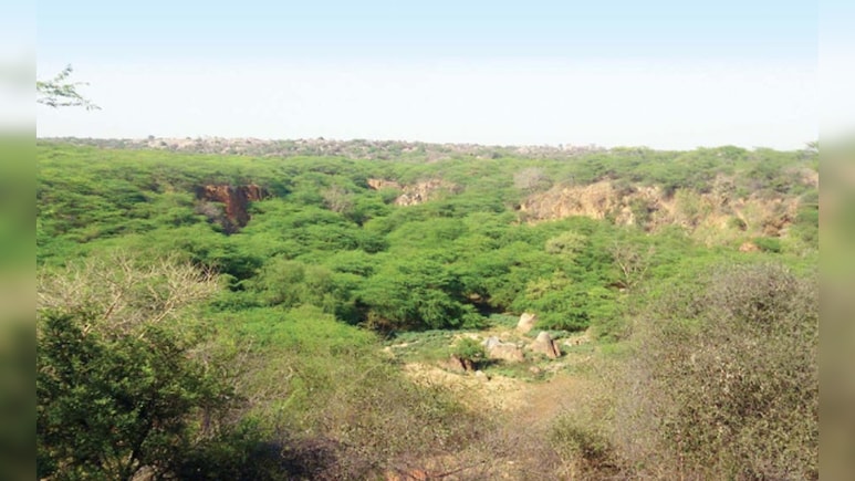 Pollution, Flood, Water Crisis: Environmentalist On Top Court's Aravalli Order