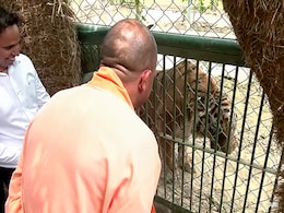 Video: Yogi Adityanath Visits Gorakhpur Zoo, Inspects Tiger, Lions, Rhinos Video: Yogi Adityanath Visits Gorakhpur Zoo, Inspects Tiger, Lions, Rhinos