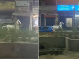 पंचायत का 'सितारा' या इमरान खान वाला घोड़ा, दिल्ली की सड़कों पर घुड़सवारी करते शख्स का वीडियो देख इंटरनेट पर आई कमेंट्स की बाढ़ पंचायत का 'सितारा' या इमरान खान वाला घोड़ा, दिल्ली की सड़कों पर घुड़सवारी करते शख्स का वीडियो देख इंटरनेट पर आई कमेंट्स की बाढ़